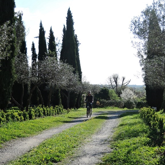 touriste à vélo sur le chemin d'accès à la chambre d'hôtes