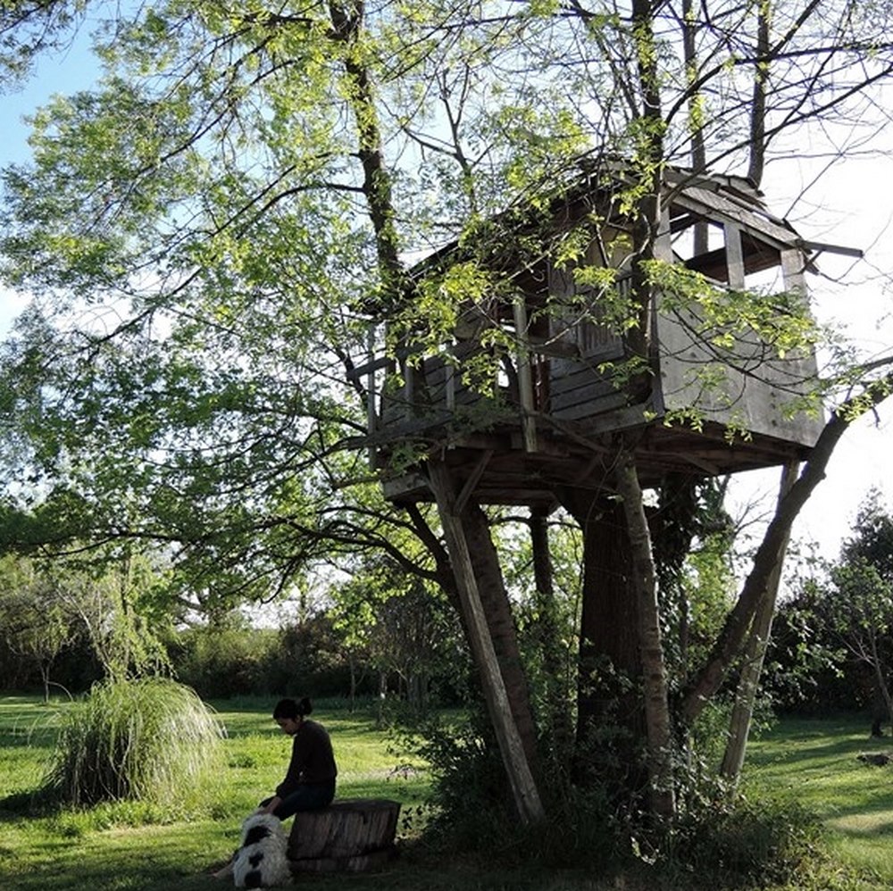 cabane dans un arbre, touriste et son chien