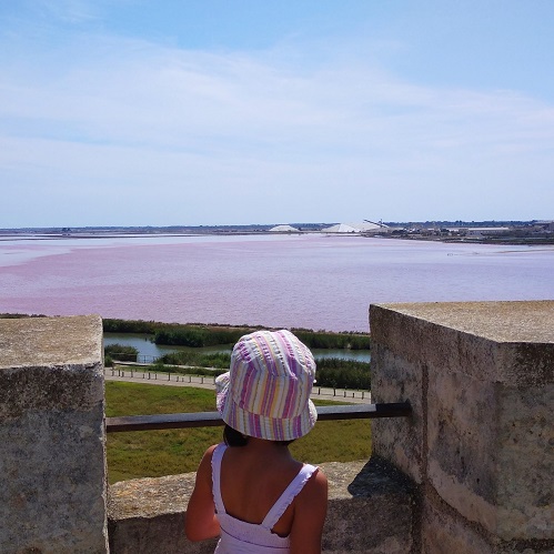 viewof the  salins de Camargue in Gard