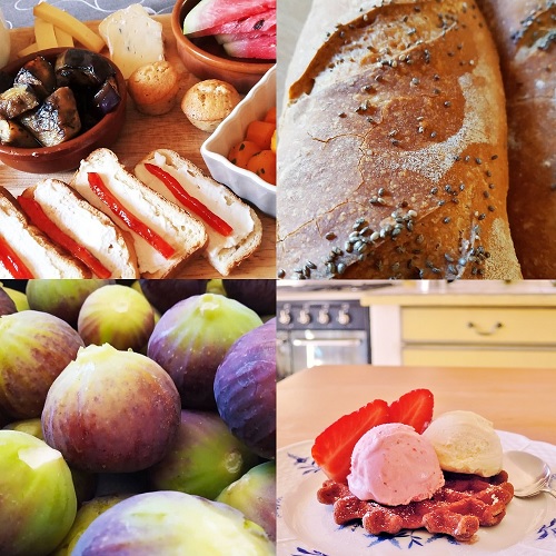 Mediterranean french cuisine 