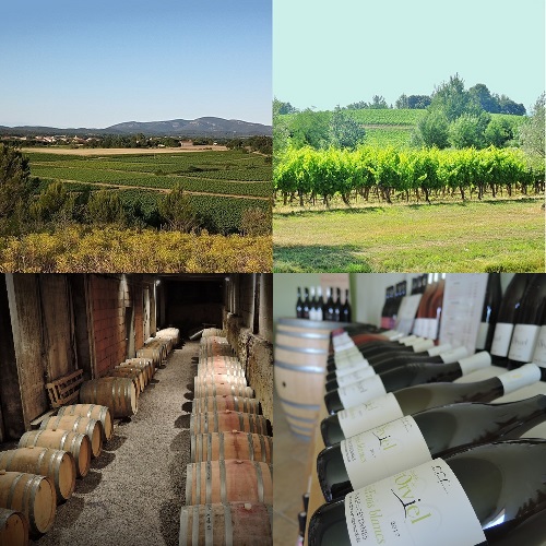 bottles of wine, wine-yards and oak barrels in the wine-estate's cellar  