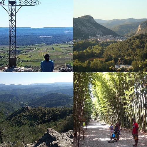 mountain Panorama of the Cévennes and bambouseraie near Anduze