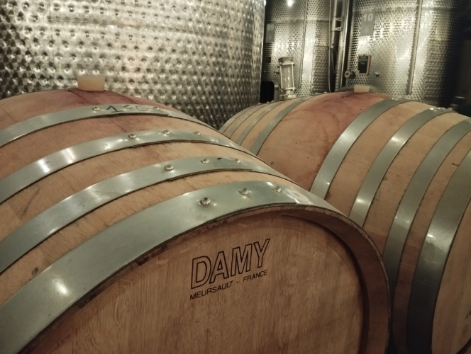 soirée dégustation vin et découverte du caveau 