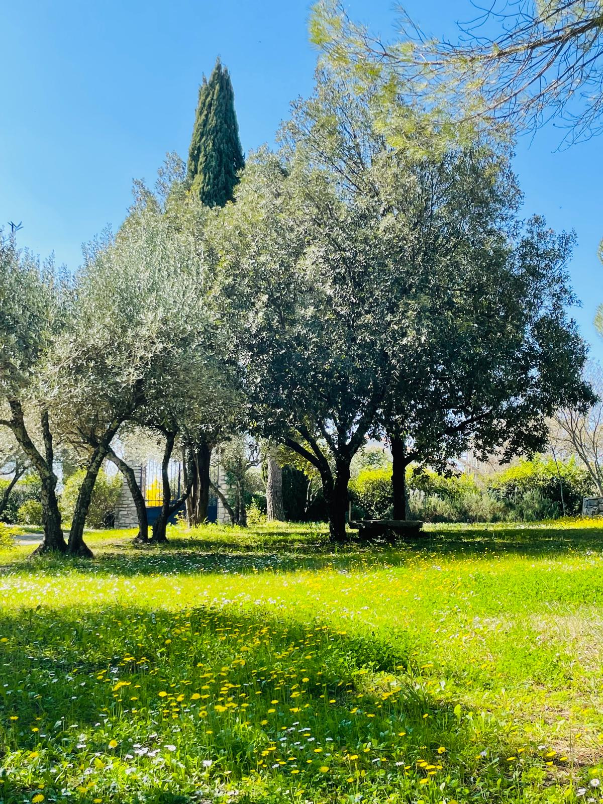 Vue jardin fleuri chambres d'hôtes près Anduze