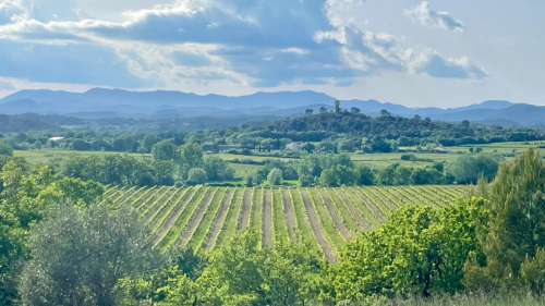 Une vue magnifique sur les vignes et les Cévennes depuis Canaules près d'Anduze